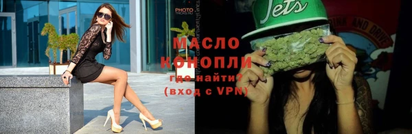 индика Дмитриев