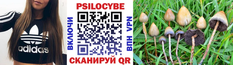 кракен ссылки  Дербент  Псилоцибиновые грибы MAGIC MUSHROOMS 